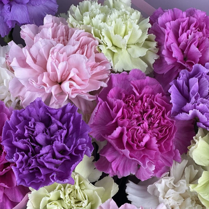 Букет из 15 гвоздик микс