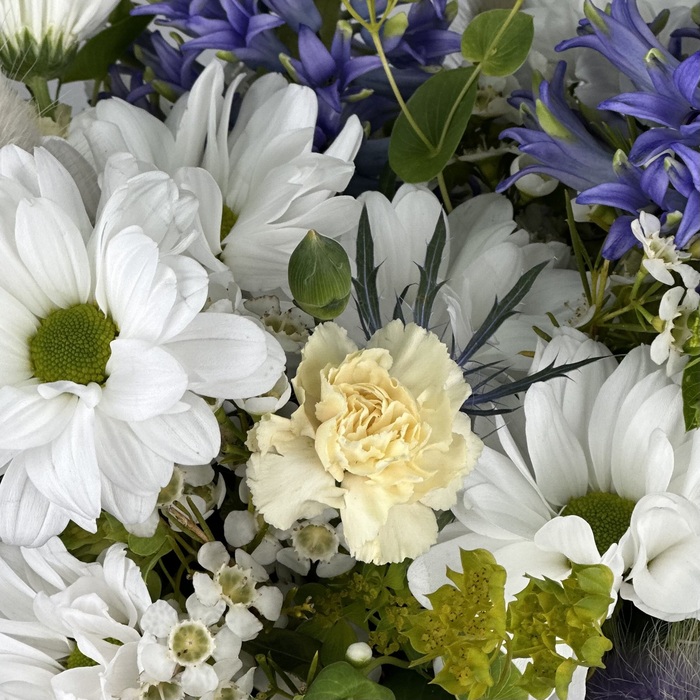 Цветы в ящике Жаклин