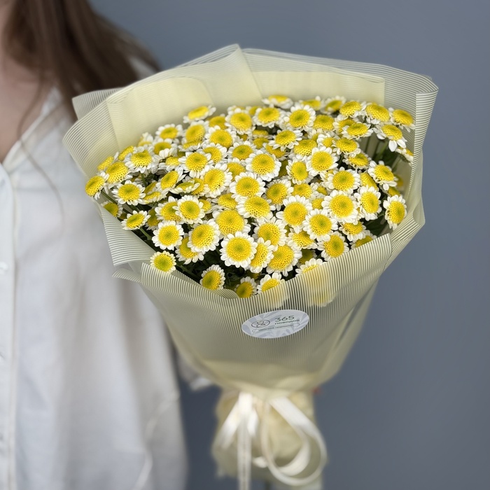 Букет Ромашка под солнцем
