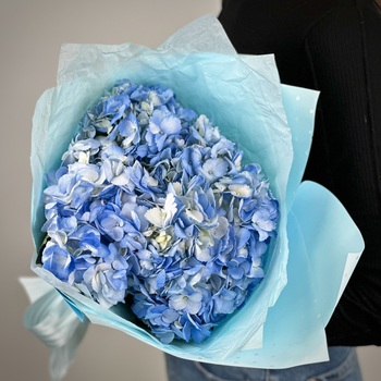 Букет из 3 голубых гортензий