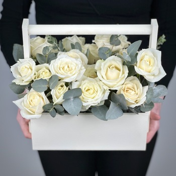 Цветы в ящике Филадельфия