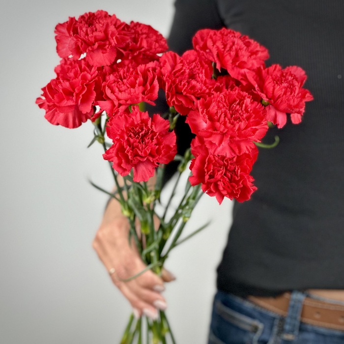 Букет из 1 красных гвоздик