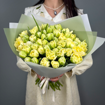 Букет из 51 светлых пионовидных тюльпанов