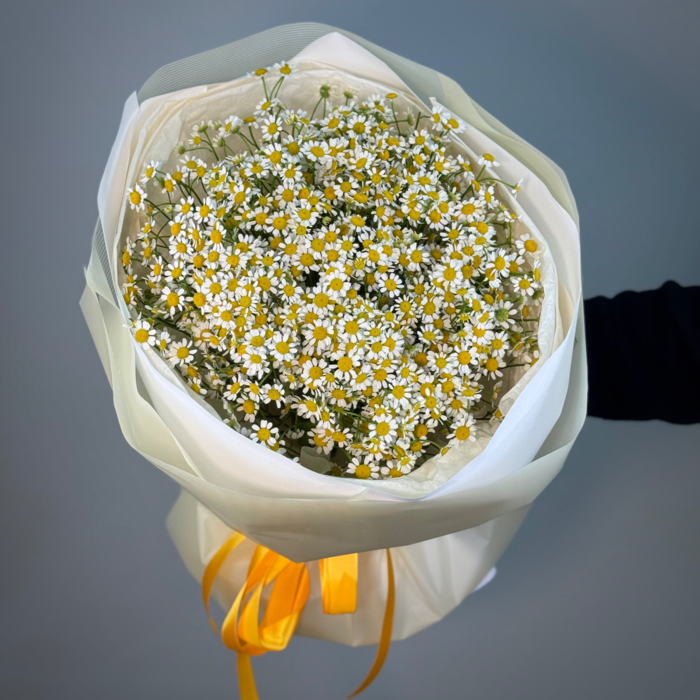 Букет из 19 ромашки