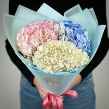 Букет из 3 гортензий микс