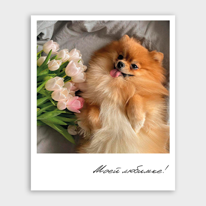 Открытка Моей любимке! (формат мини)