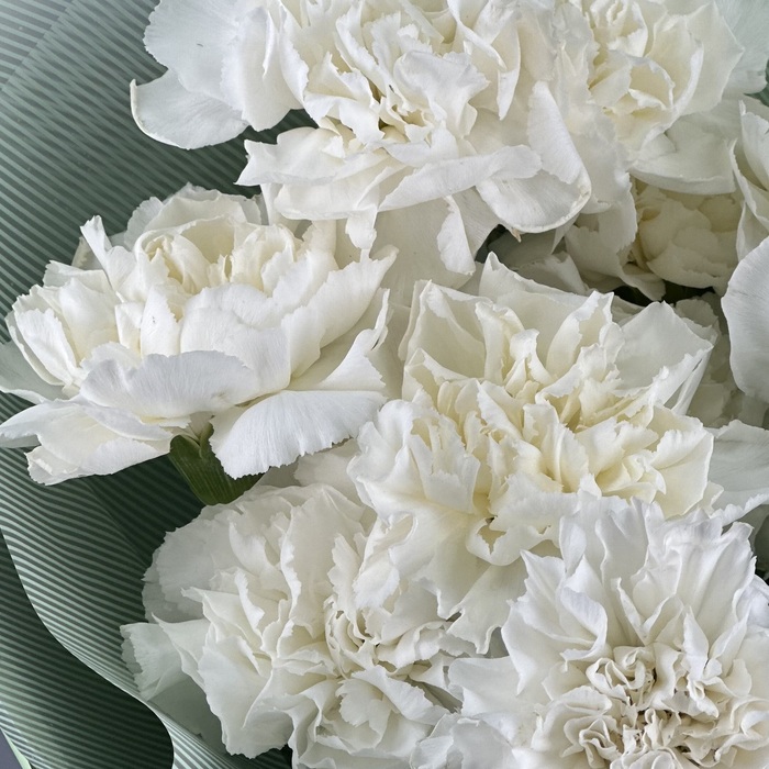 Букет из 11 белых гвоздик